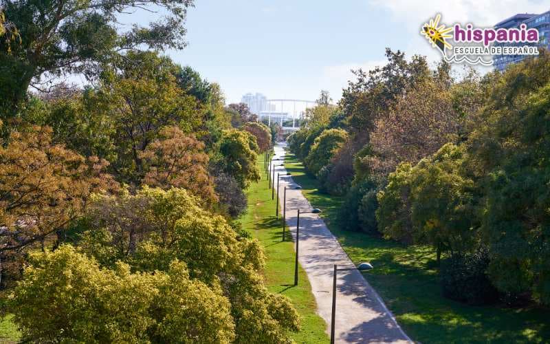 Valencia: una ciudad verde
